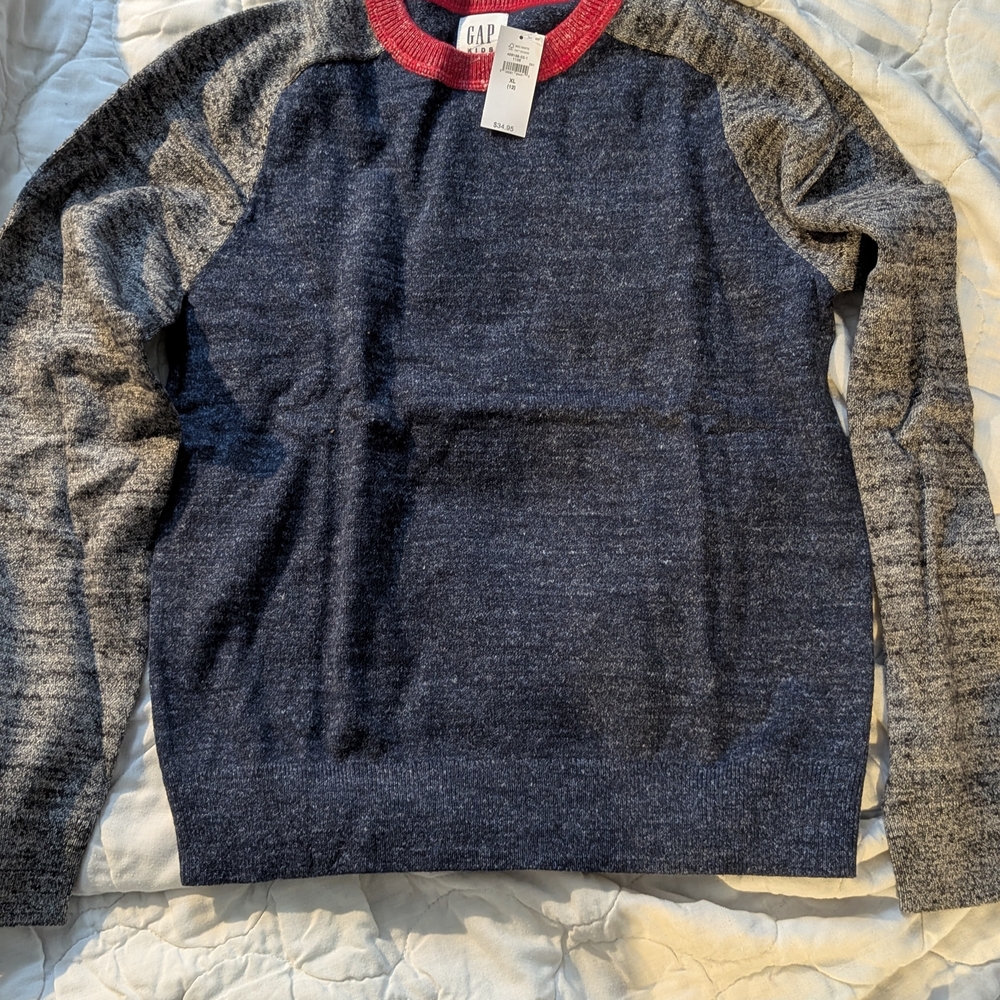 GAP Boy's Blue and Gray Sweater